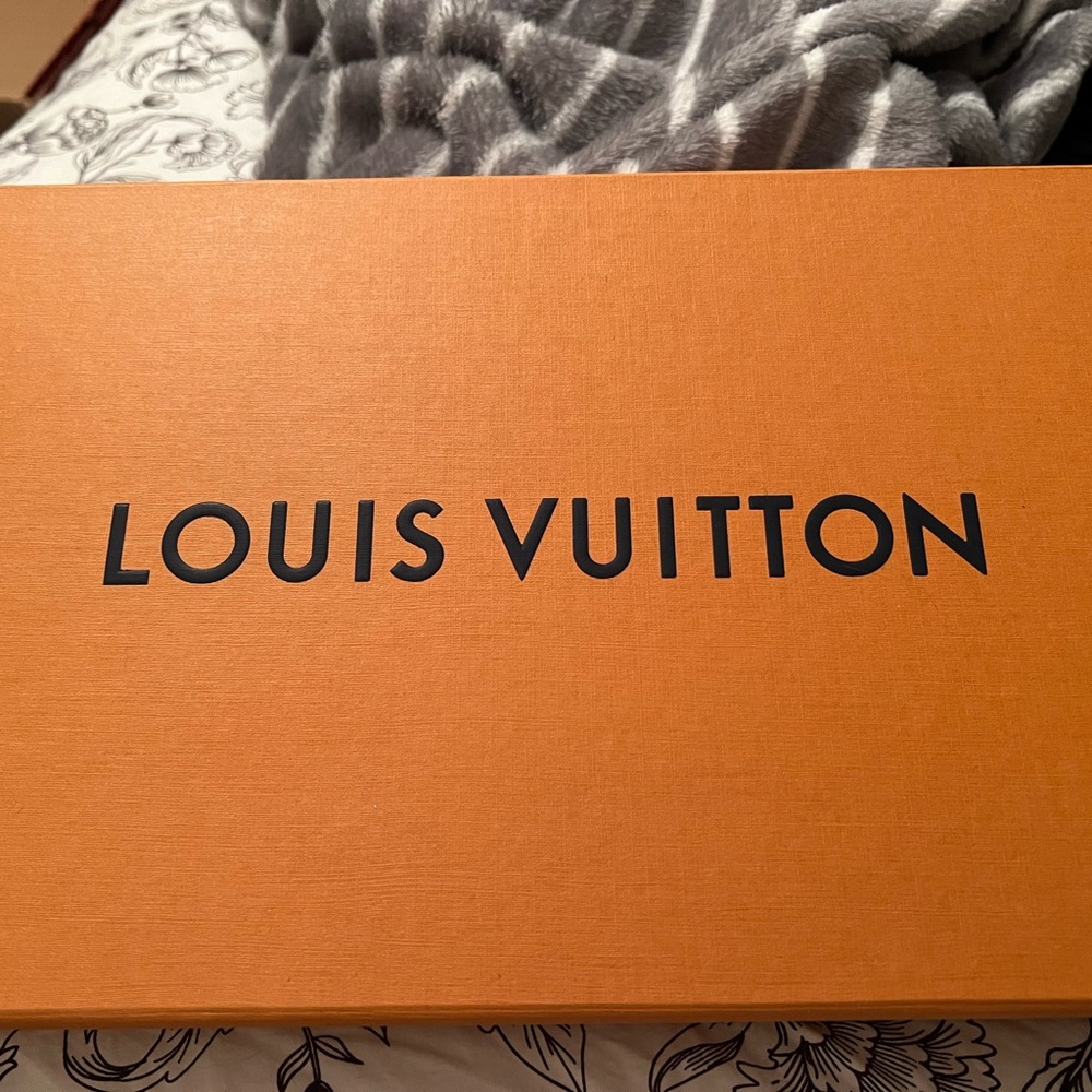 Louis Vuitton Multicolor Scarf - Picture 12 of 12